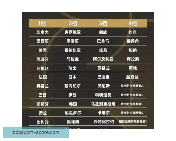 2026年世界杯举办国及赛事安排全面解析与展望